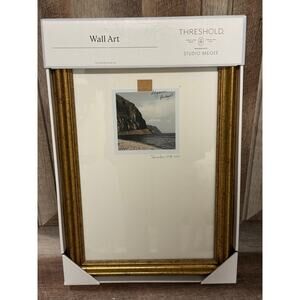 Threshold Studio McGee 12x18 Travel Photo Gold Framed Wall Ar